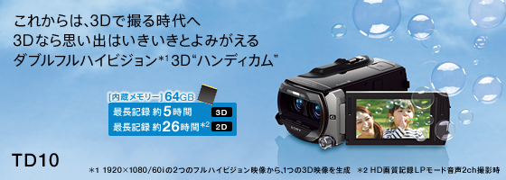 HDR-TD10 | デジタルビデオカメラ Handycam ハンディカム | ソニー