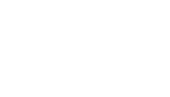 tHD̂S{ׂȉ掿SK掿ɑΉBו܂ōׂȉ掿A܂łɂȂAȉߊEՏꊴ𖡂킦FDR-AXPAaB