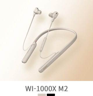WI-1000X M2