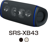 SRS-XB43