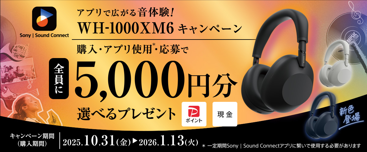 S5,000~Iׂv[gIWH-1000XM6Ly[