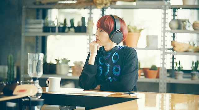 ��t���񂪎g�������C�����X�X�e���I�w�b�h�Z�b�g