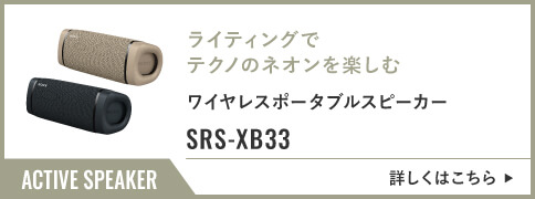 SRS-XB33