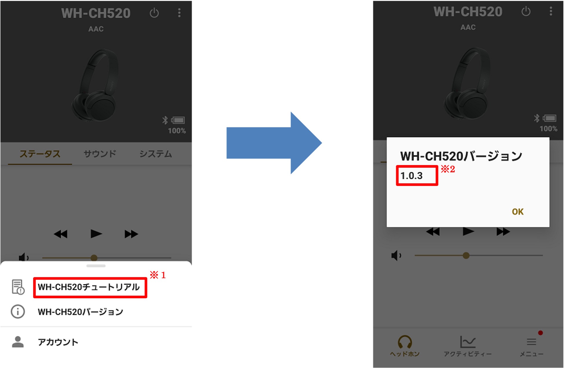 �\�t�g�E�F�A�o�[�W�������\��