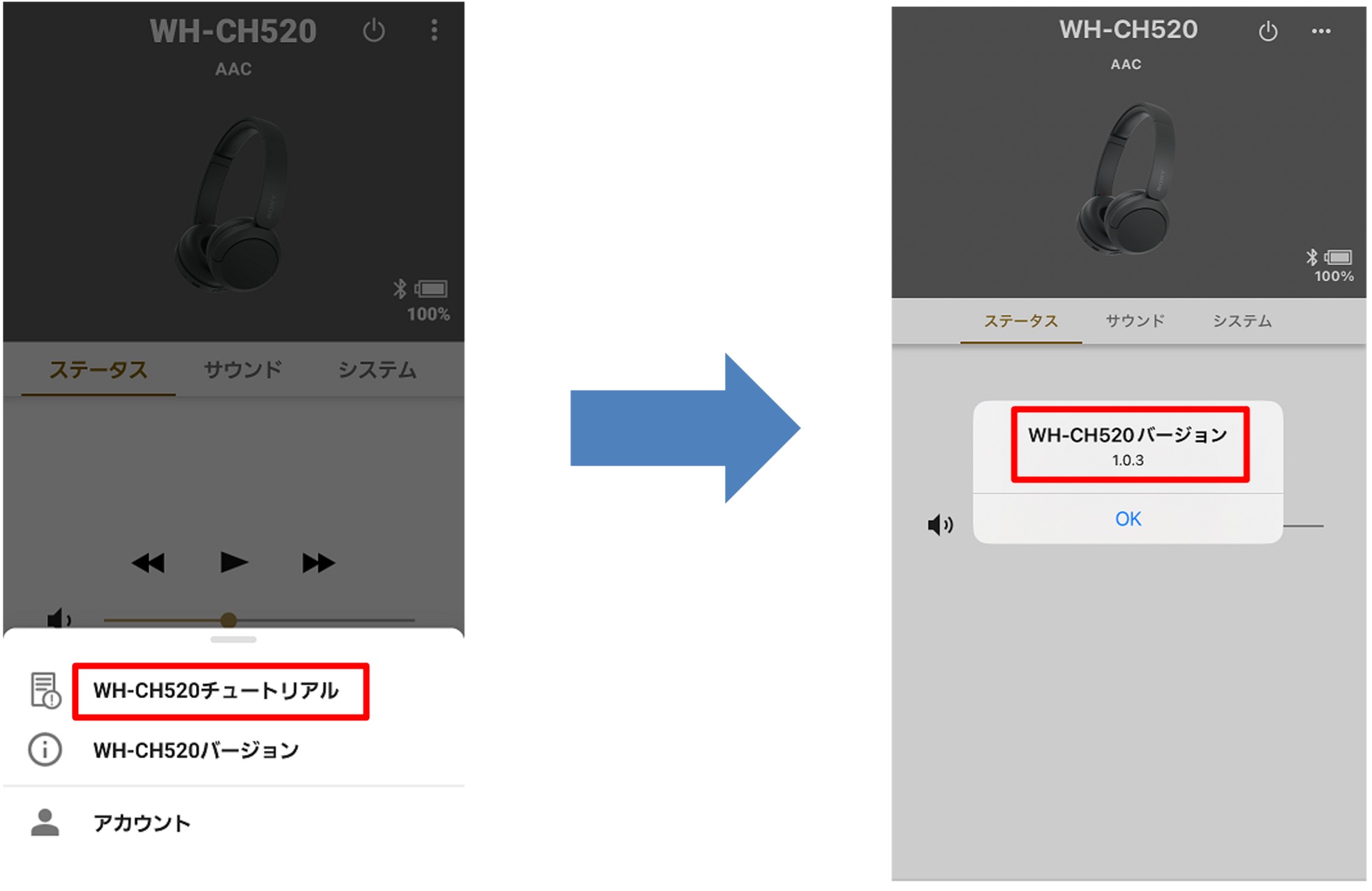 �\�t�g�E�F�A�o�[�W�������\��