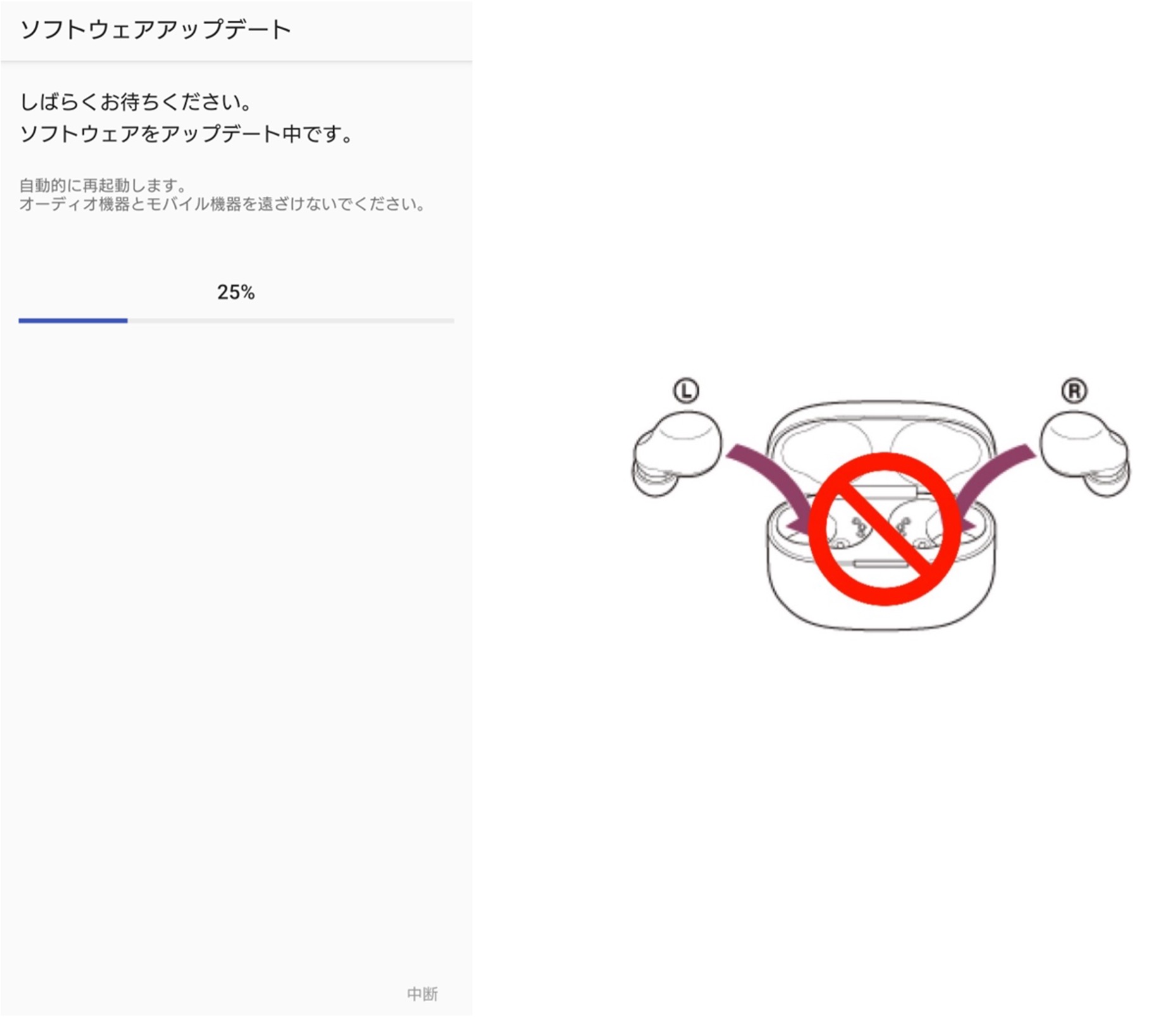 �u�{�̂��[�d�P�[�X�ɑ}���v���Ȃ��ł��������B