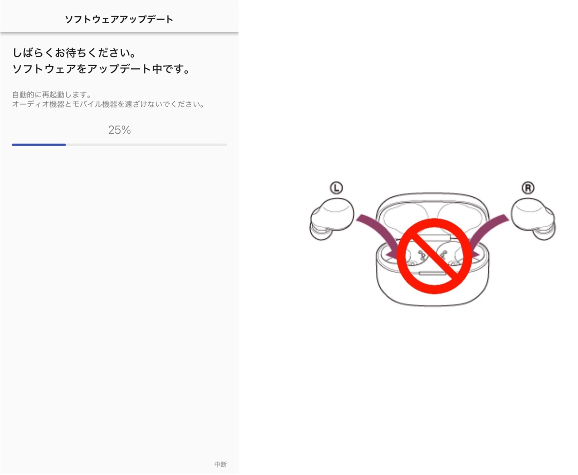 �u�{�̂��[�d�P�[�X�ɑ}���v���Ȃ��ł��������B