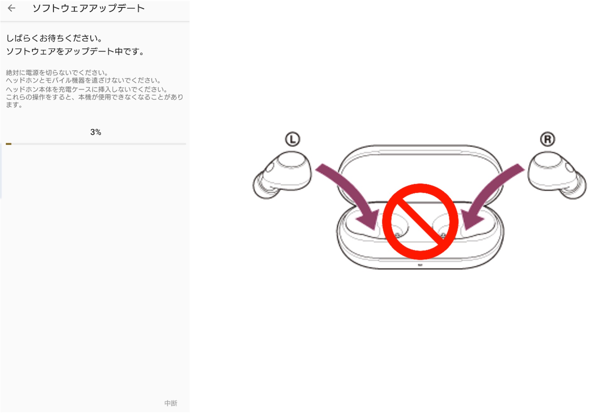 �\�t�g�E�F�A�̓]������������ƁA�����I�Ƀ\�t�g�E�F�A�A�b�v�f�[�g�̉�ʂɐ؂�ւ��܂��B