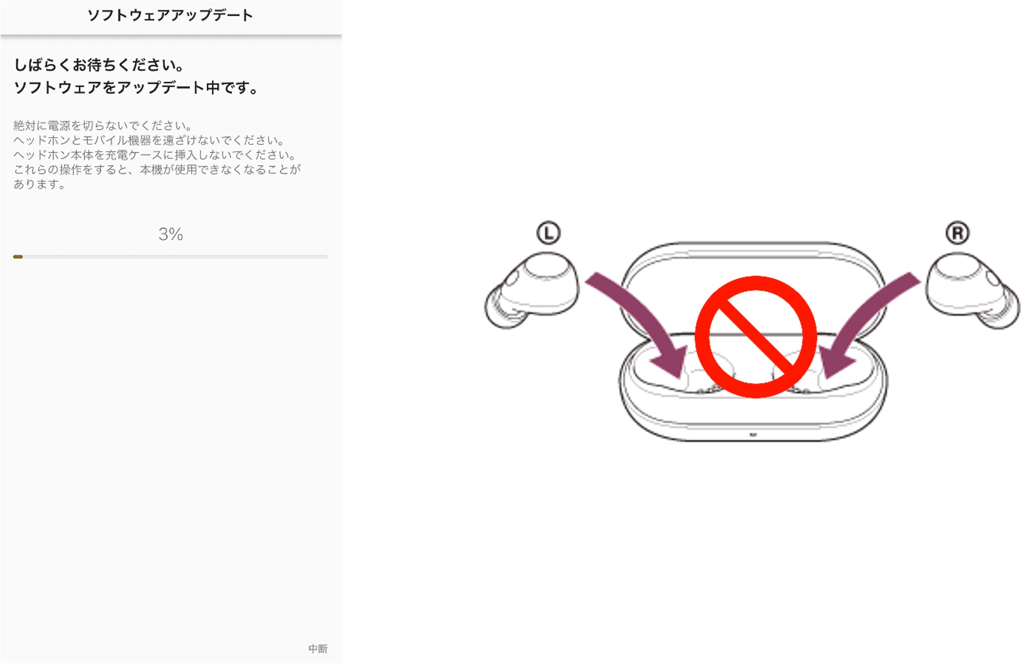 �\�t�g�E�F�A�̓]������������ƁA�����I�Ƀ\�t�g�E�F�A�A�b�v�f�[�g�̉�ʂɐ؂�ւ��܂��B