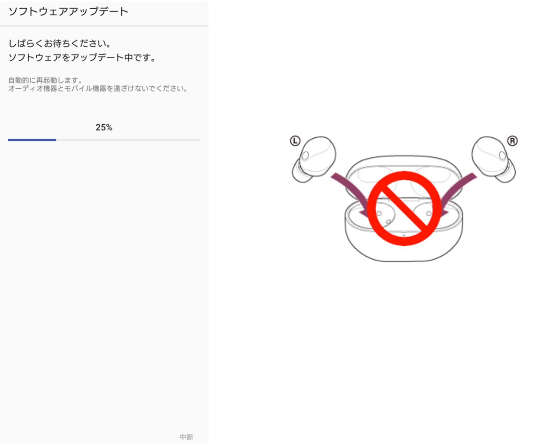 �u�{�̂��[�d�P�[�X�ɑ}���v���Ȃ��ł��������B