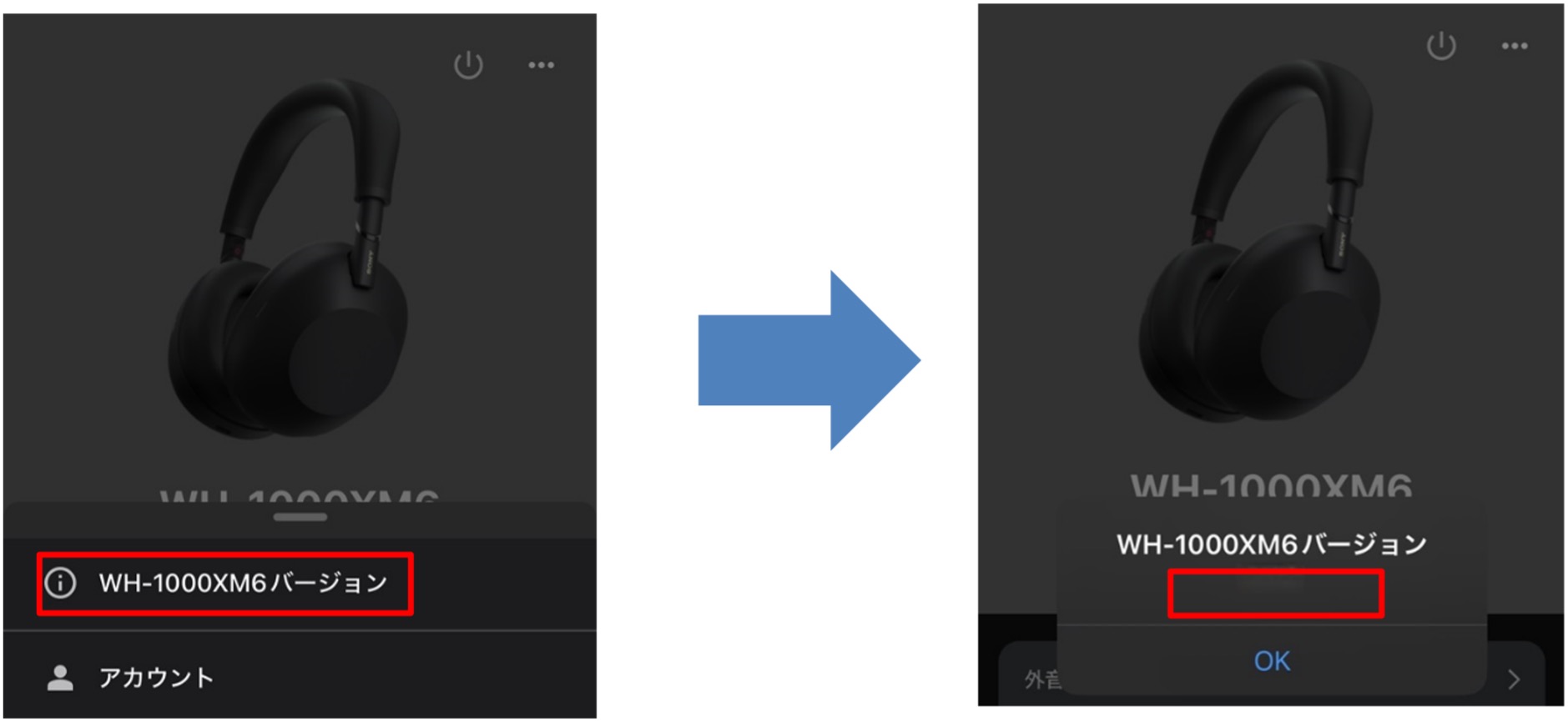 �\�t�g�E�F�A�o�[�W������񂪕\��