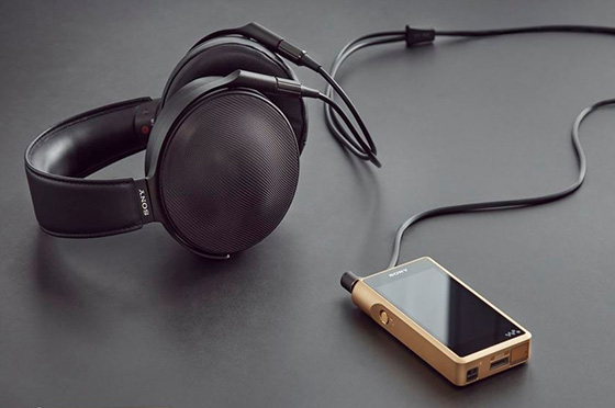 �E�H�[�N�}��<sup>&reg;</sup>WM1�V���[�Y�wNW-WM1Z�x�wNW-WM1A�x