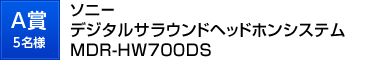 �\�j�[�f�W�^���T���E���h�w�b�h�z���V�X�e��MDR-HW700DS