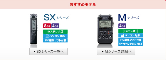 �������߃��f�� | SX�V���[�Y