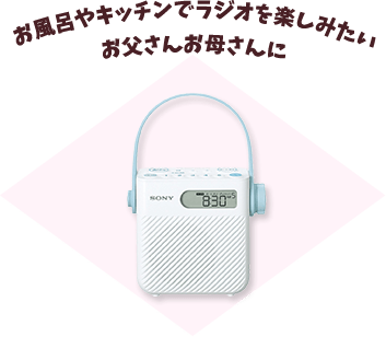 ◆超小型集音器◆国内メーカー◆ニコン製◆母の日◆父の日◆敬老の日◆新製品 超小型集音器国内メーカーニコン製母の日父の日敬老