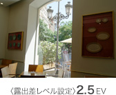 �q�I�o�����x���ݒ�r2.5EV