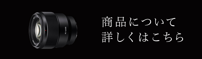 ���i�ɂ��� �ڂ����͂�����