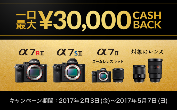 �L�����y�[�����ԁF2017�N2��3�� (��)�`2016�N5��7�� (��)