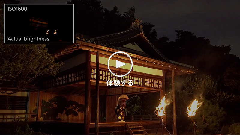 �̌�����