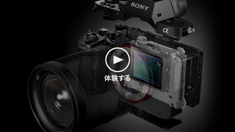 �̌�����