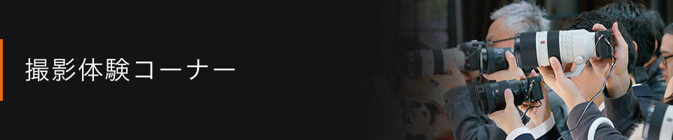 �B�e�̌��R�[�i�[