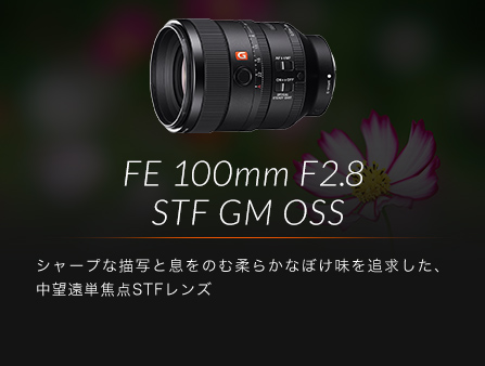 FE 100mm F2.8 STF GM OSS �V���[�v�ȕ`�ʂƑ����̂ޏ_�炩�Ȃڂ�����ǋ������A���]���P�œ_STF�����Y