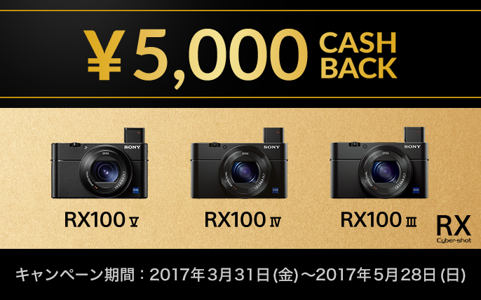 �L�����y�[�����ԁF2017�N3��31���i���j�`2017�N5��28���i���j