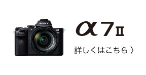 ��7 II �ڂ����͂�����