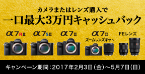 �L�����y�[�����ԁF2017�N2��3�� (��)�`2016�N5��7�� (��)