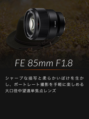 FE 85mm F1.8 �V���[�v�ȕ`�ʂƏ_�炩���ڂ��𐶂����A�|�[�g���[�g�B�e����y�Ɋy���߂����a���]���P�œ_�����Y