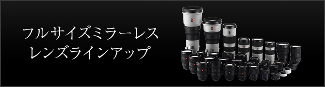 �t���T�C�Y�~���[���X �����Y���C���A�b�v