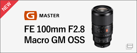 FE 100mm F2.8 Macro GM OSS
