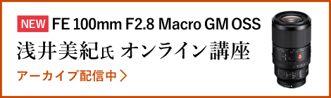NEW FE100mm F2.8 Macro GM OSS IICu \ݎtI