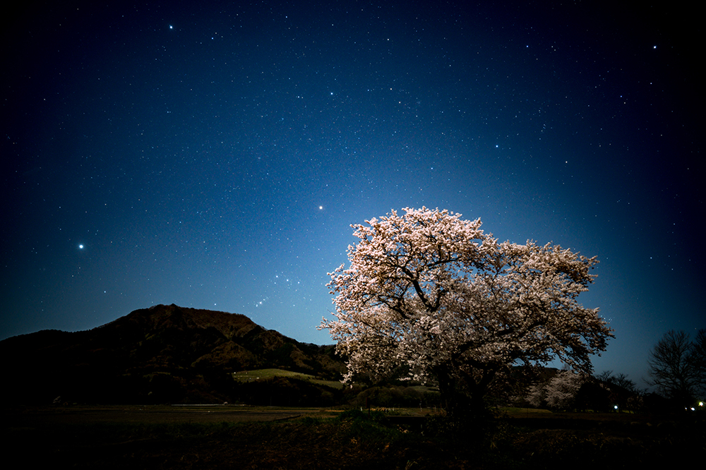 オススメの星 天体記事 A Universe デジタル一眼カメラa アルファ ソニー