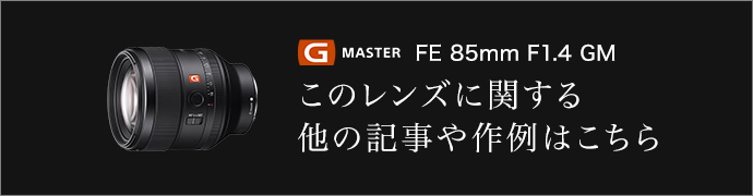 g master FE 85mm F1.4 GM このレンズに関する他の記事や作例はこちら