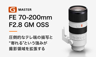 FE 70-200mm F2.8 GM OSS 圧倒的なテレ端の描写と“寄れる”という強みが撮影領域を拡張する
