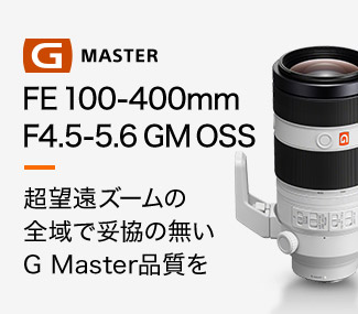 FE 100-400mm F4.5-5.6 GM OSS 美しいぼけを400mmという焦点距離で