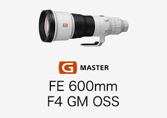 FE 600mm F4 GM