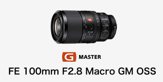 FE 100mm F2.8 Macro GM OSS