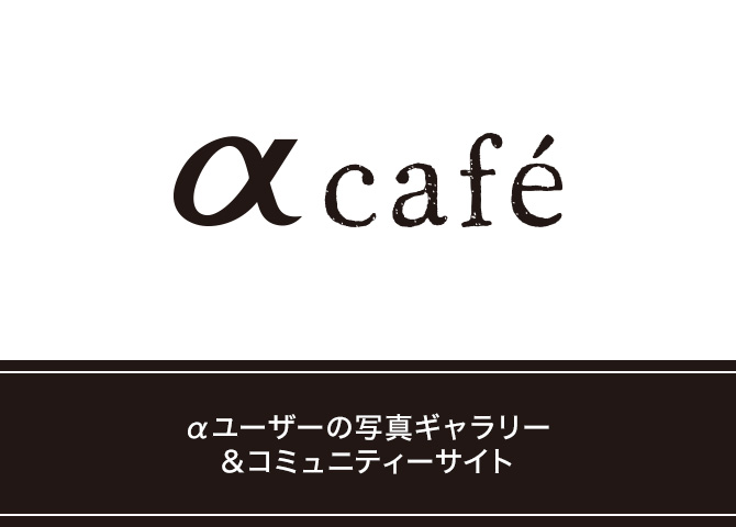 α Cafe web