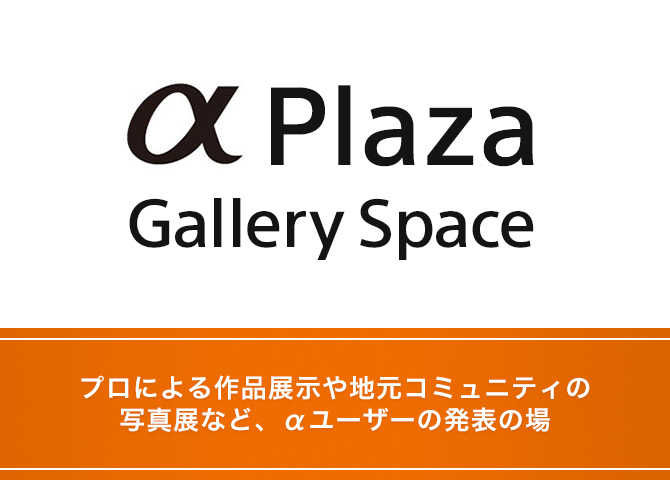 α Plaza Gallery プロによる作品展示や地元コミュニティの写真展など、αユーザーの発表の場