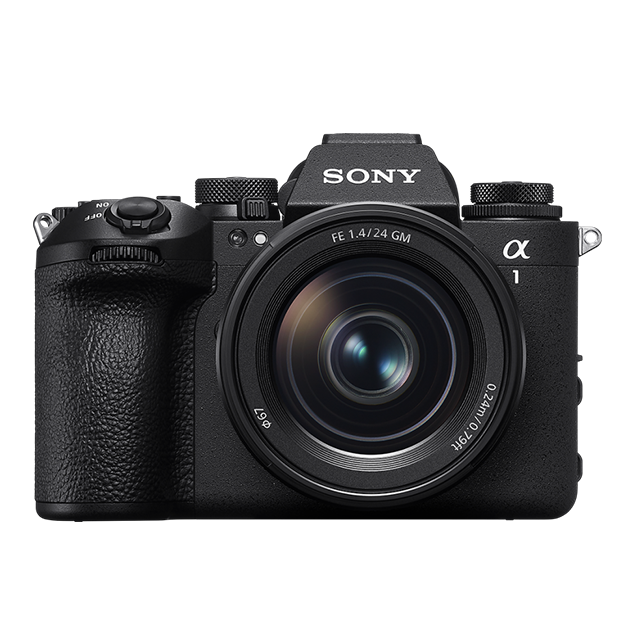 ��1 II�{�f�B