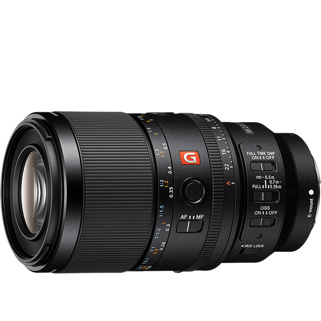 FE 100mm F2.8 Macro GM OSS