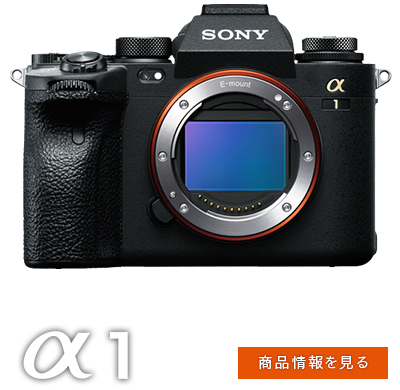 &alpha;1 ���i���y�[�W��