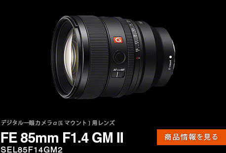 FE 85mm F1.4 GM II ���i���y�[�W��
