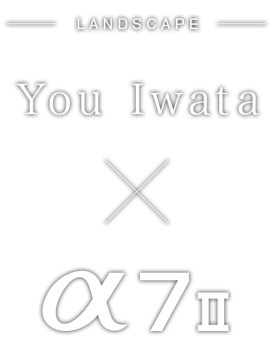 You Iwata�~��7 II