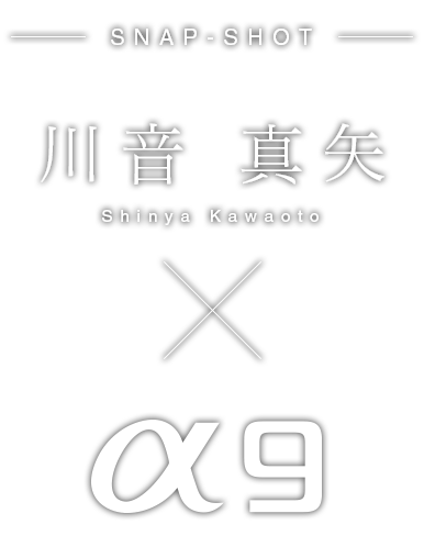 �쉹 �^��~��9