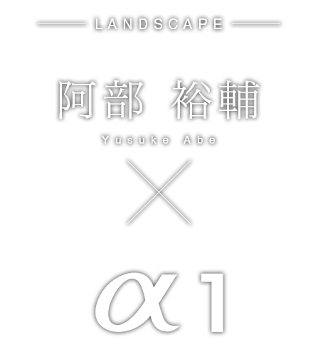 ���� �T��~&alpha;1