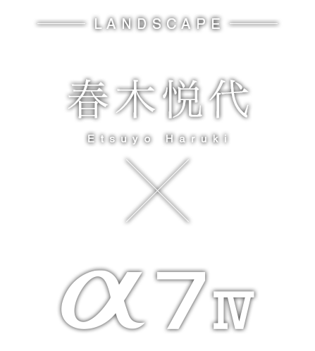 �t�؉x��~&alpha;7 IV