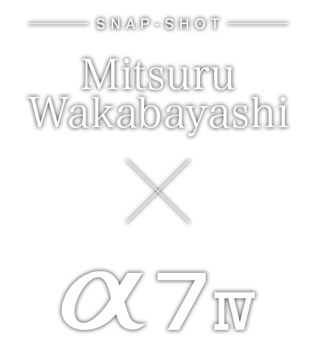 Mitsuru Wakabayashi~7 IV